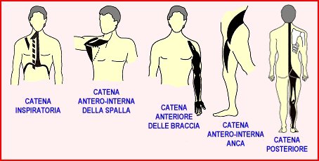 Postgrado el Metodo Mezieres. Fisioterapia Global Miofascial